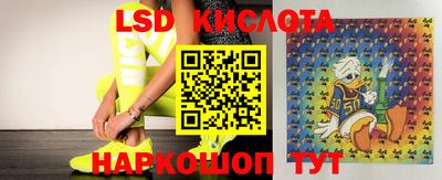 ГАЛЛЮЦИНОГЕННЫЕ ГРИБЫ Ставрополь
