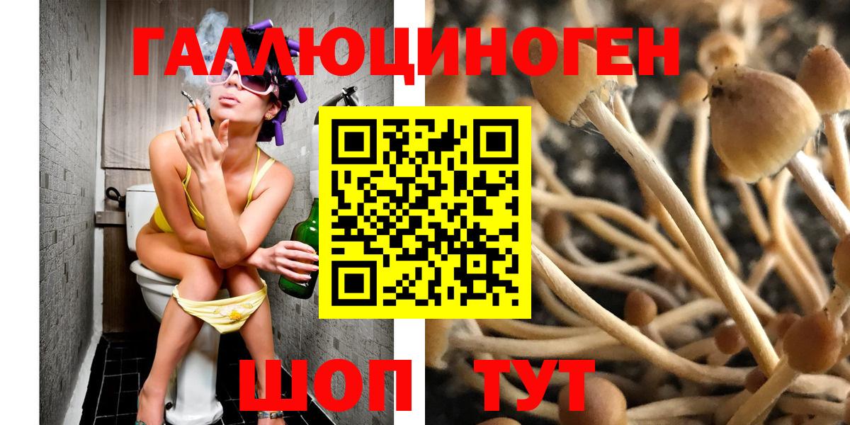 дарнет шоп  Галлюциногенные грибы Cubensis  Новотроицк  Вход с VPN  Галлюциногенные грибы мухоморы 