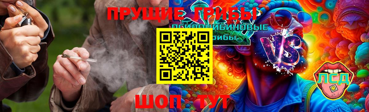 Галлюциногенные грибы MAGIC MUSHROOMS Новотроицк
